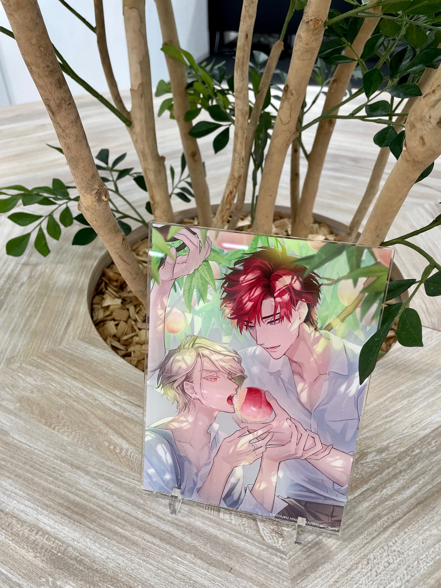 アニメイトブックフェア「セラピーゲーム／日ノ原巡」 アクリル