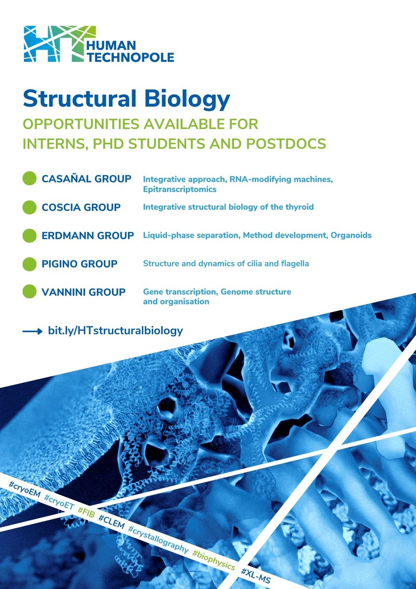 humantechnopole's tweet photo. 🔥 Opportunities available for interns, PhD students and Postodcs in our #StructuralBiology Research Centre!
Discover more on our Groups and job positions on https://t.co/M60XD0EV6a
#cryoem #cryoet #fib #clem #crystallography #biophysics #xlms https://t.co/1Nkj7Badwp
