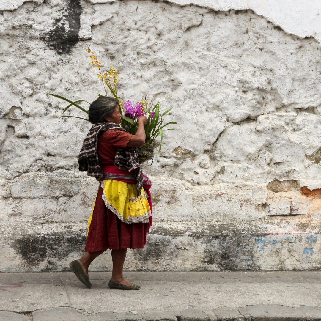 UNESCO en español 🏛️#Educación #Ciencia #Cultura tweet media