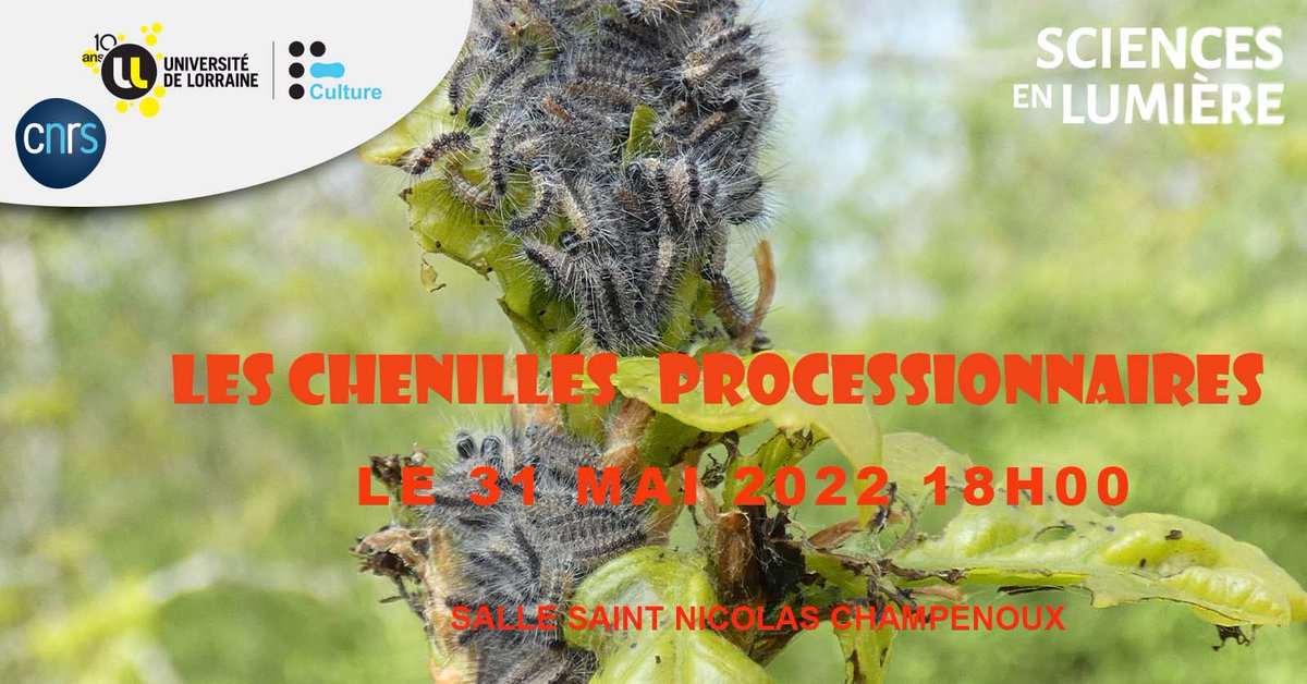INRAE_Nancy's tweet photo. Ce soir, rendez-vous à Champenoux (salle St Nicolas) à 18h pour échanger avec #ChristopheBailly @UMR_IAM
sur les🐛#chenillesprocessionnaires
@cnrs_centre_est @univ_lorraine https://t.co/5CvUz1Jqxk