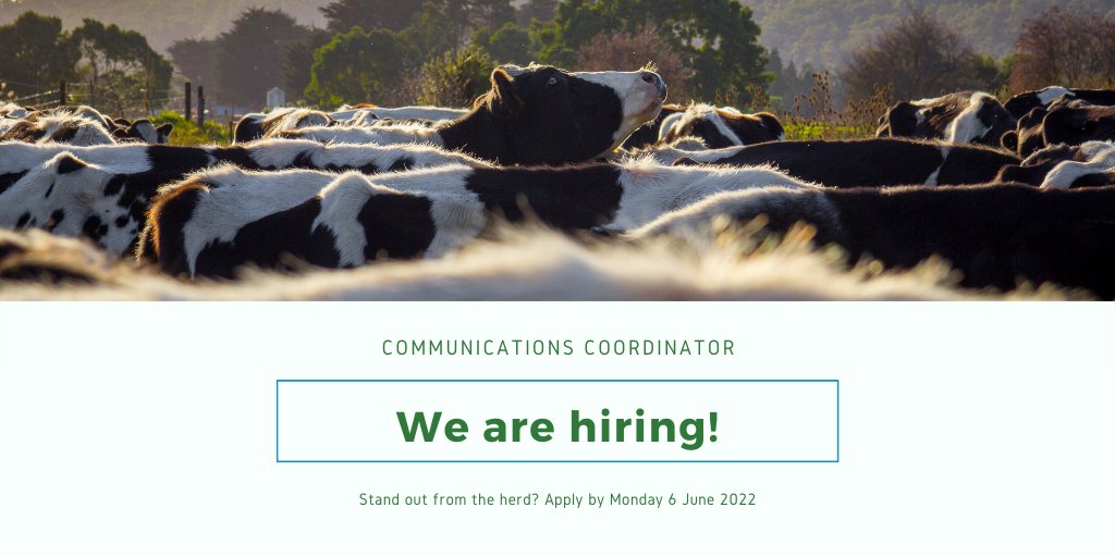 Passionate about Holsteins? Great communicator? People person? Know your way around a CMS or two? Hit the link to find out more about our Comms &amp; Marketing Coordinator role. Apply by 6 June - bit.ly/3iZ7lxo

#Holsteins #MarketingJobs #AusDairy
