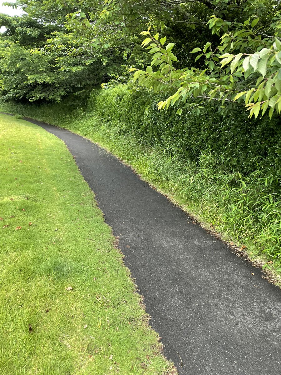 てくてく🚶
#STEPN#マイナスイオンたっぷり