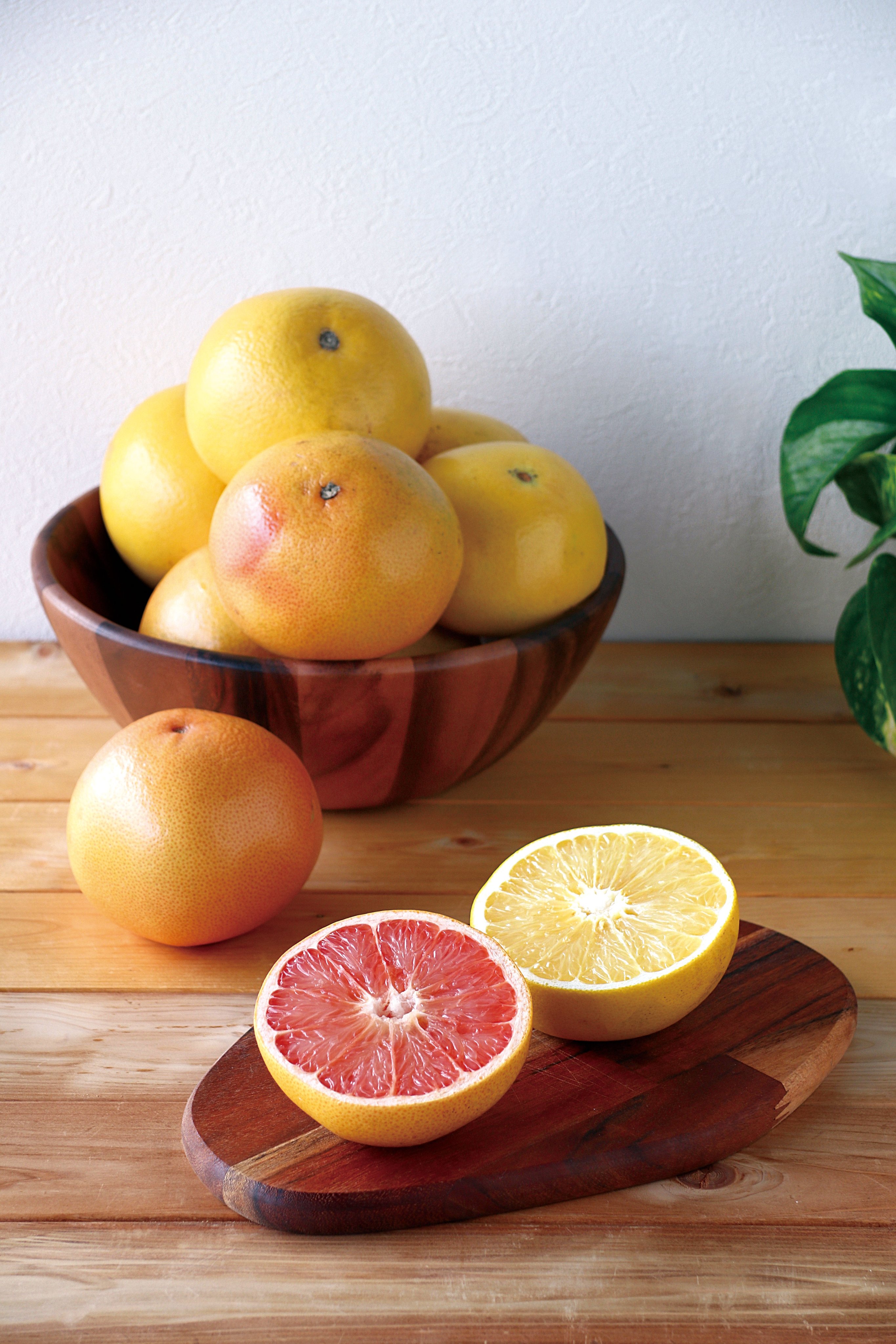 フロリダ グレープフルーツ Grapefruit Fl Twitter