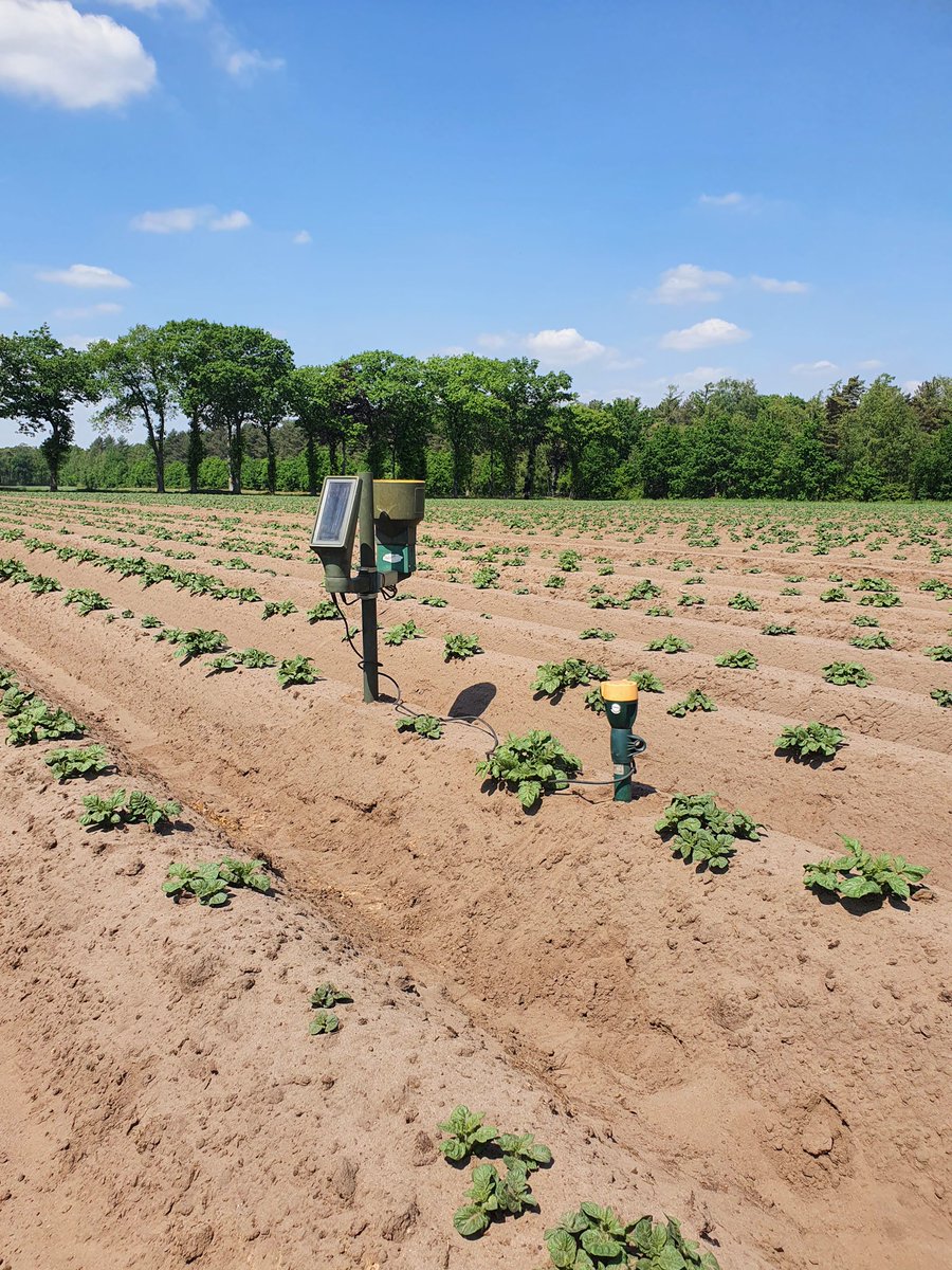 jacobvdborne's tweet photo. Afgelopen week hebben we alle bodemvochtstations geplaatst aan de hand van de bodemscan van #Soilmasters #Dacom https://t.co/CWU2KOtHhv