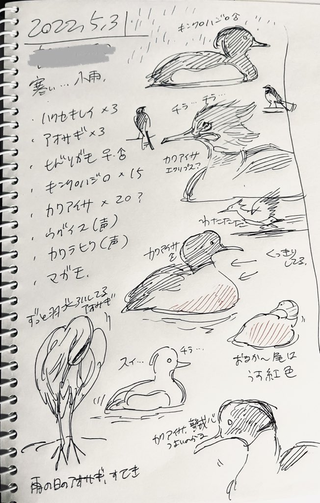 スケッチ 