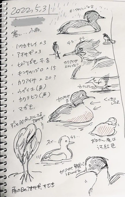 スケッチ 