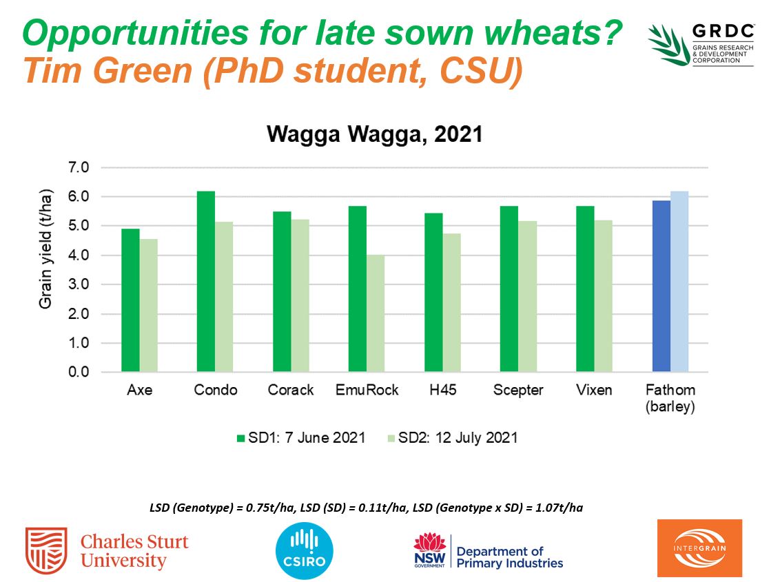 Some relevant information from <a href="/CharlesSturtUni/">Charles Sturt University</a> PhD student <a href="/TGreen_001/">Tim Green</a> exploring opportunities for '100 day wheats' suited for late sowing scenarios...some commercial comparisons from Wagga Wagga in 2021.