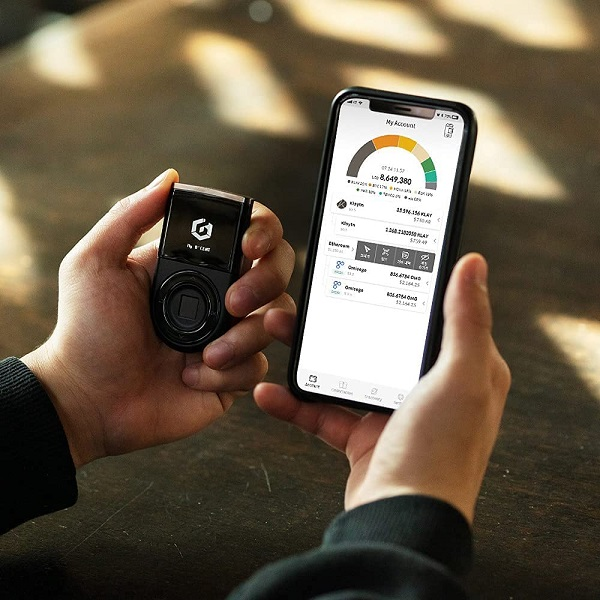 GOLFROCHAIN tweet media