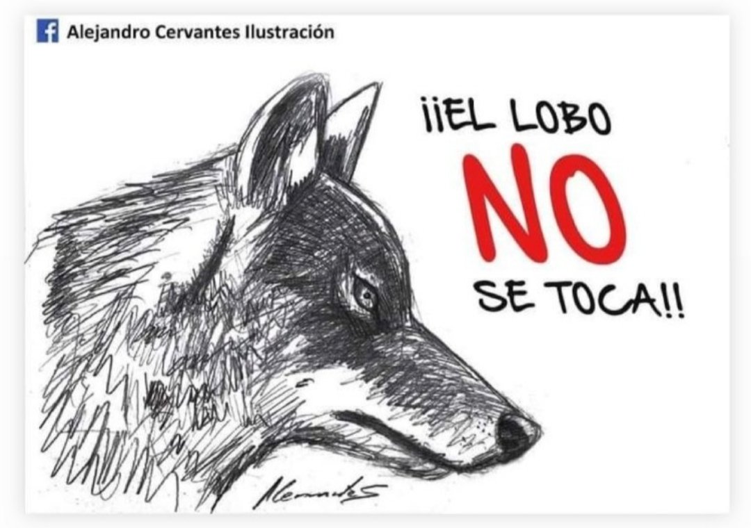 Rafa ayala (@rafapollero) on Twitter photo 