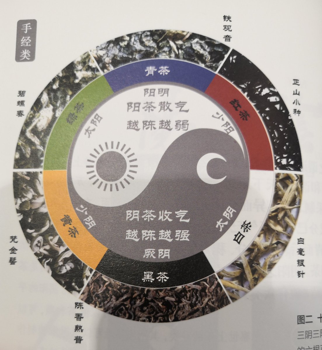 三阴三阳六类茶，六正脉，各两络，相应十二品。