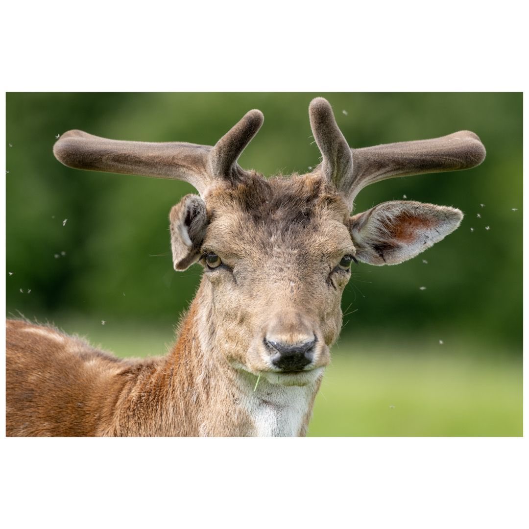 Igerscoventry tweet media