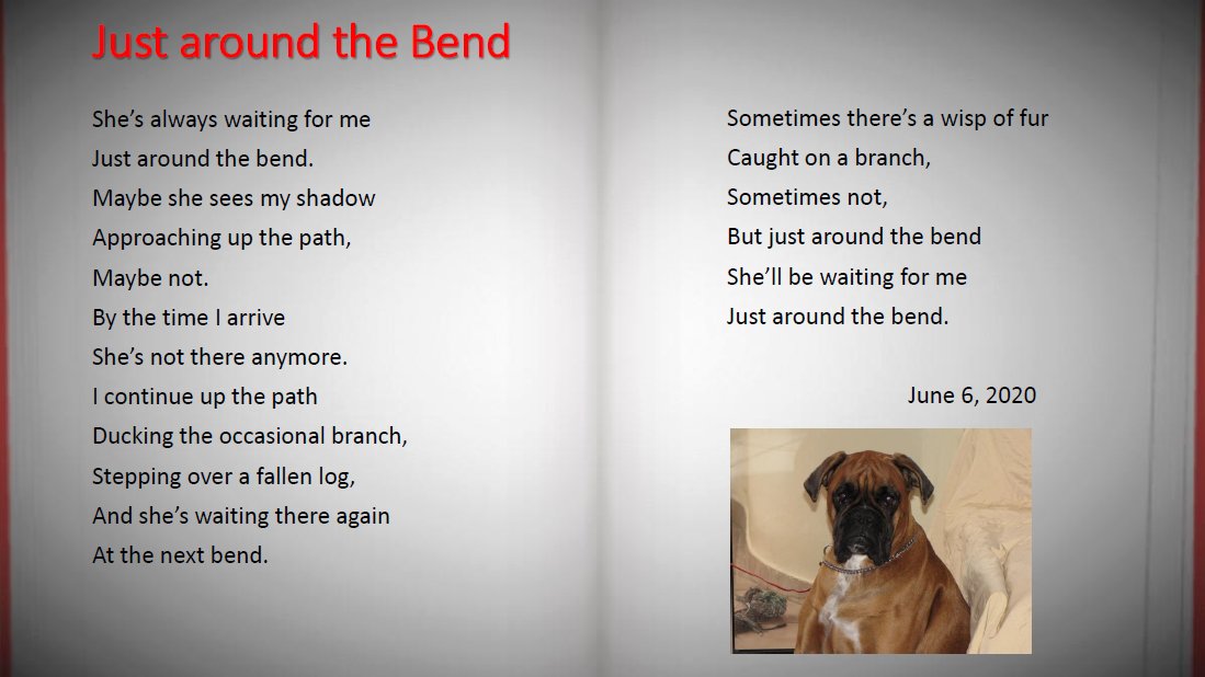 Mike Stone tweet media