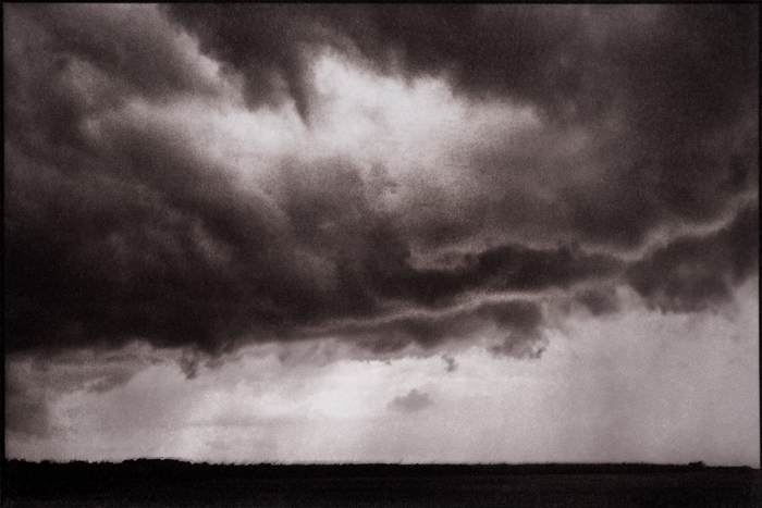 siashmore's tweet photo. My current favourite print of all time... until tomorrow when I when I will probably dislike it intensely. 
Van Dyke print on Bergger COT 320 paper.  

@BERGGER_FRANCE @alternativephot #vandyke https://t.co/TN1WHkCaOB