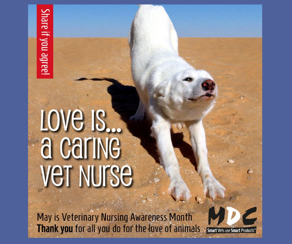 We've reached the end of a terrific Vet Nurse Awareness Month! But our appreciation doesn't just stop. We continue to thank all the great VNs (and students) who work day in, day out to keep our animals healthy & happy all year long! #vetnurse #VNAM2022 #OurProfessionMyResilience