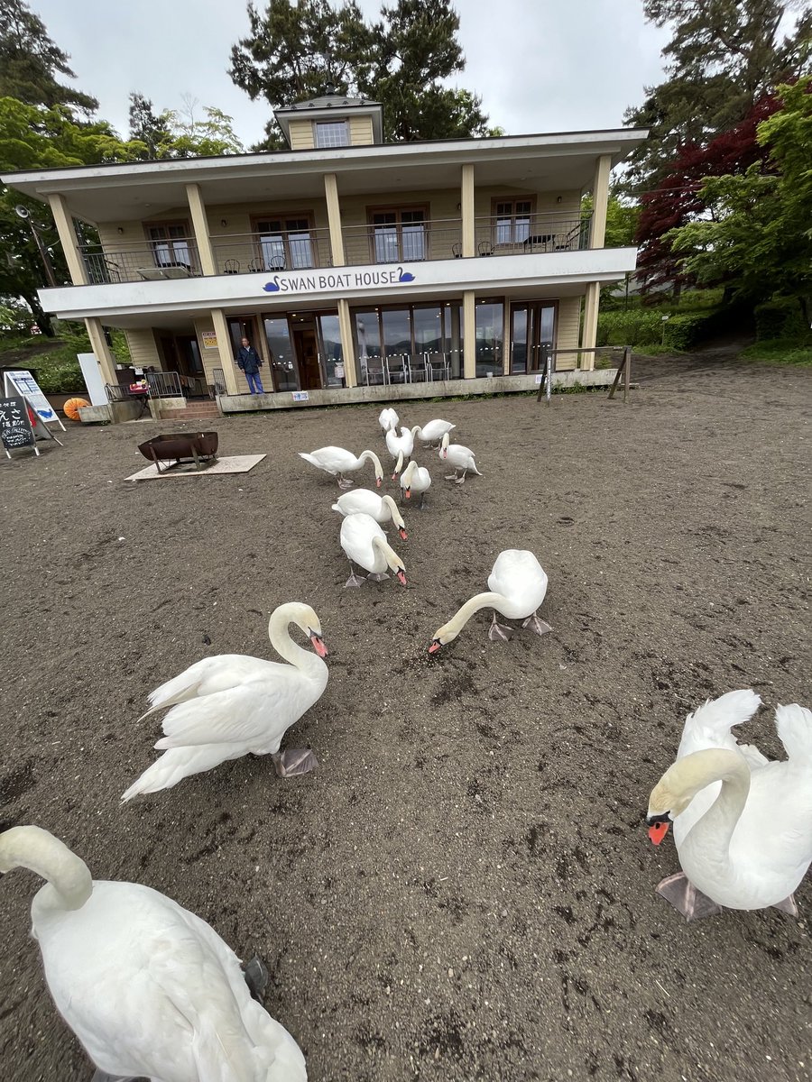 打ち上げ花火。