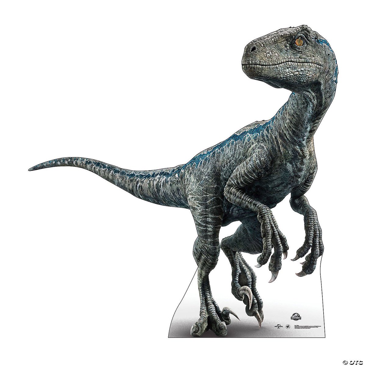 dinoparktr's tweet photo. Velociraptor, Dromaeosauridae familyasından, geç Kretase döneminde Asya'da yaşamış, kuş benzeri, tüylü teropod dinozor cinsi. Geçmişte birçok tür atanmış olmasına rağmen, şu anda iki tür tanınmaktadır. Tip türü V. mongoliensis'in fosilleri Moğolistan'da bulunmuştur. https://t.co/ea3gU2d90Z