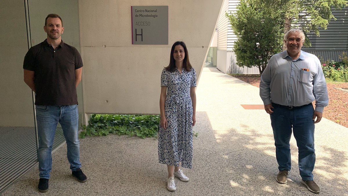 SaludISCIII's tweet photo. 📍 Un equipo del #ISCIII logra nuevos datos sobre la mutación genética que protege frente al VIH pero eleva el riesgo de una atrofia muscular rara.
Localizan biomarcadores que pueden ayudar a mejorar el pronóstico de la enfermedad.
📰 #NoticiasISCIII ➡️ https://t.co/sQpvx37zpw https://t.co/z2JMZPgIzl