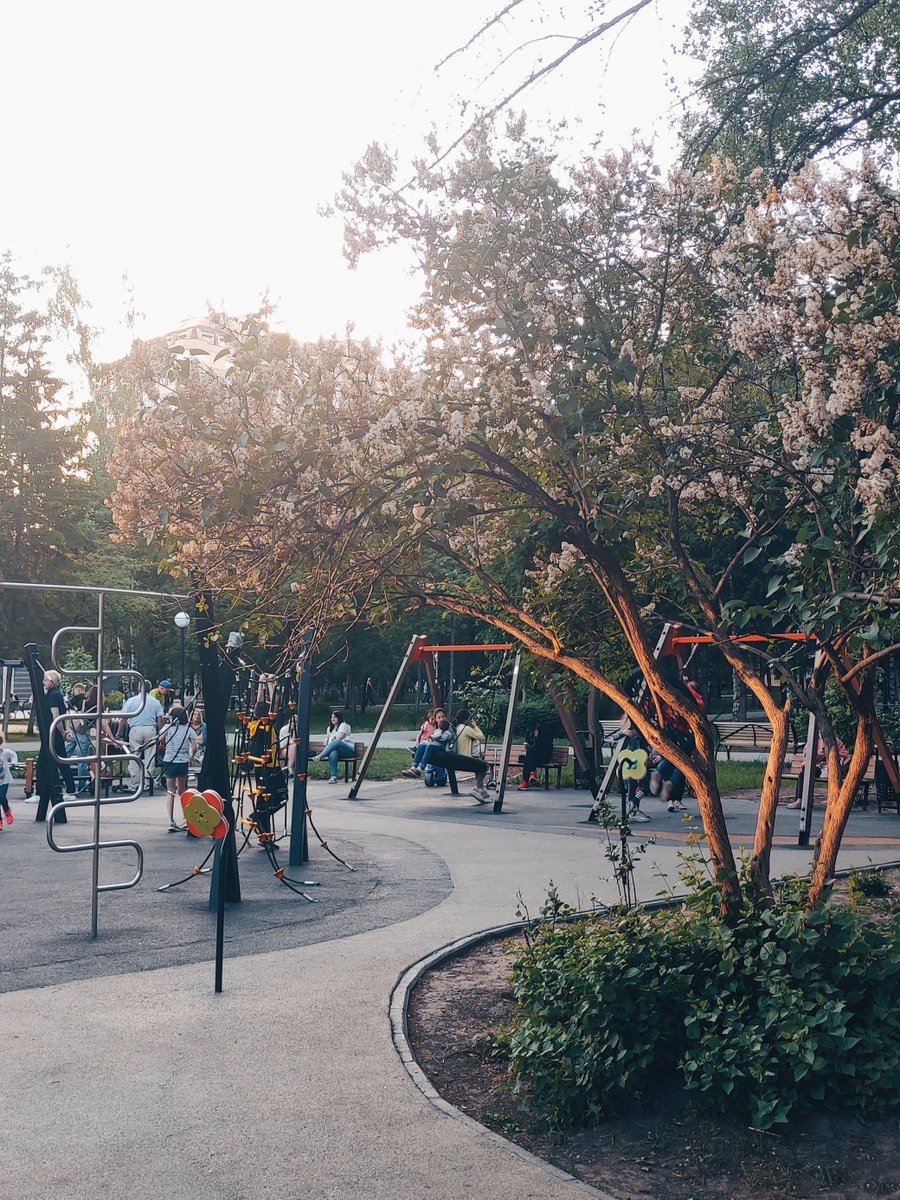 chiffrygaming's tweet image. Yesterday&apos;s walk🚶🏻

#IRL #photo #PocoX3 #TheCapturedCollective