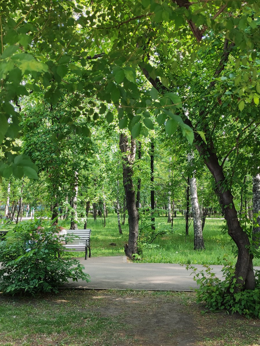 chiffrygaming's tweet image. Yesterday&apos;s walk🚶🏻

#IRL #photo #PocoX3 #TheCapturedCollective