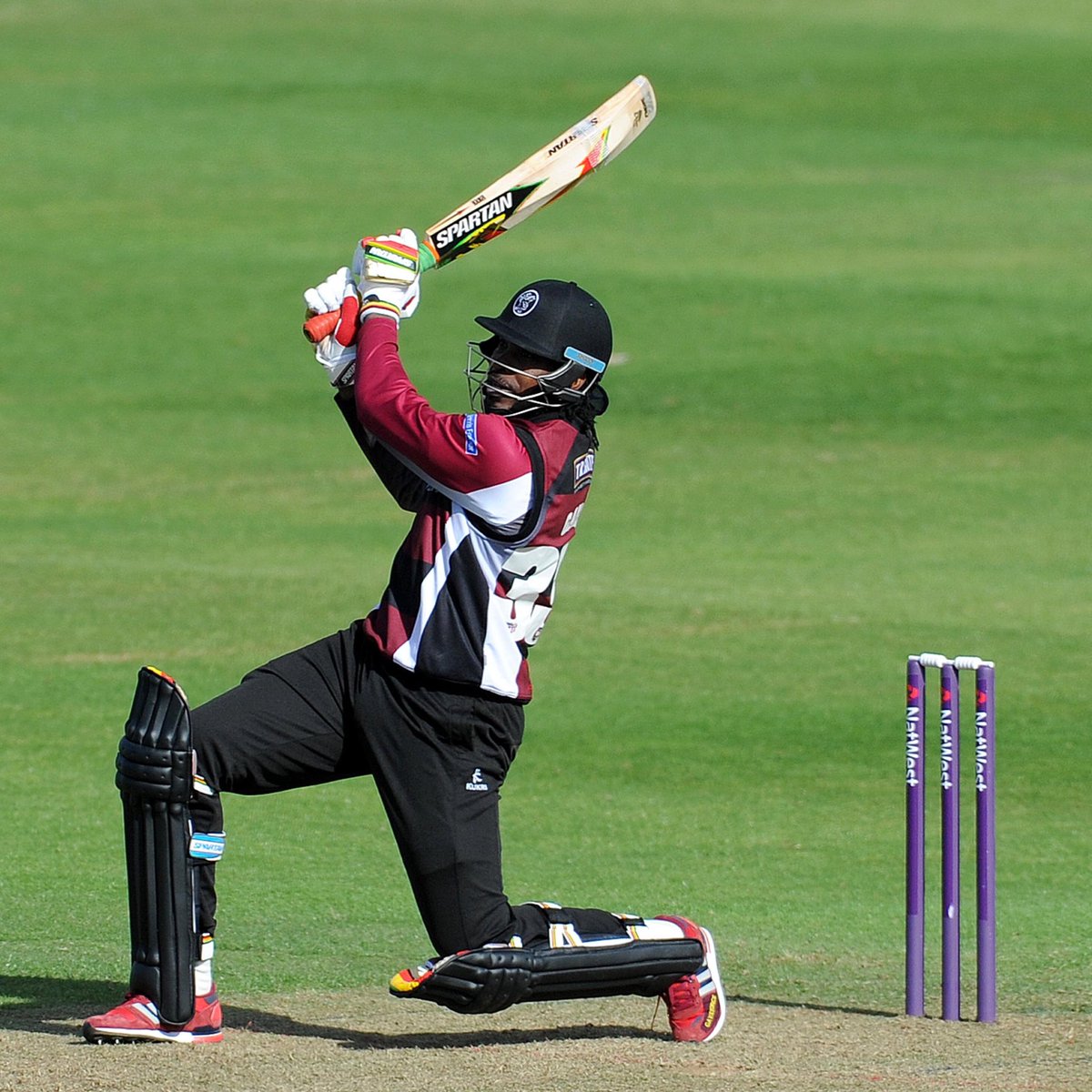 Somerset Cricket 🏆 tweet media