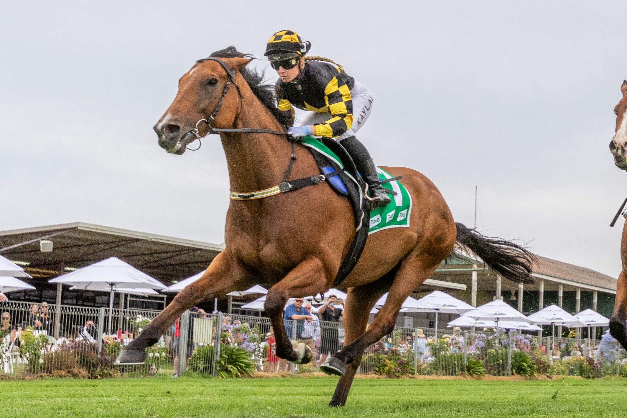 Racing SA on Twitter "Get those calendars out, the dates for the 2022/