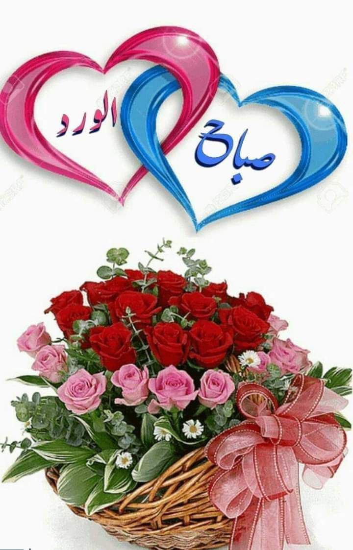 اساور الشمس (@alshmsasawr) on Twitter photo 