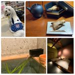 ツイートに含まれる画像