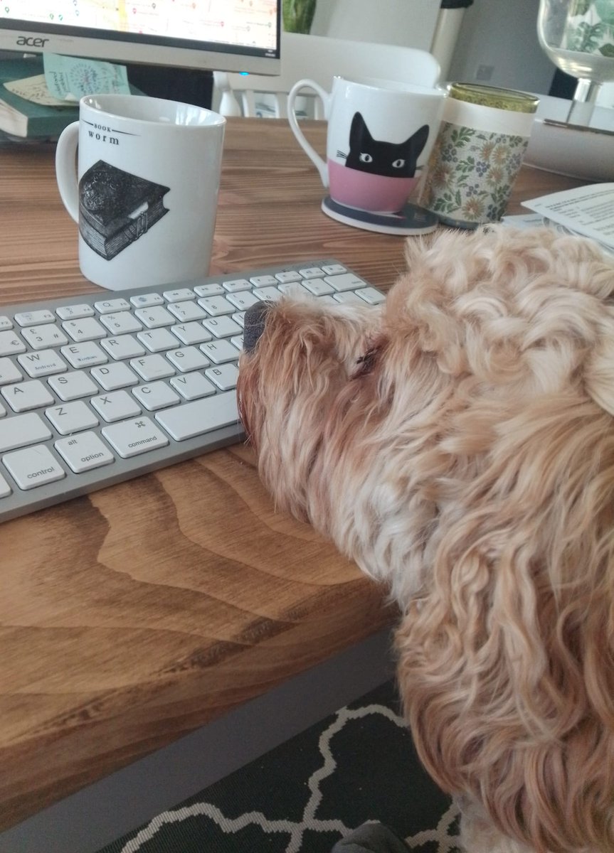 AlzScotCPP's tweet photo. .@MJSmith0611 looked after Thor the dog during lockdown and he brought much joy and comfort through those tough days.
@lilenda enjoys looking after her friend's pets as well as her own, Ruby is pictured here critiquing her latest writing!🐶
#PhdPets
#DementiaAwareness https://t.co/wcP0UqbyzJ