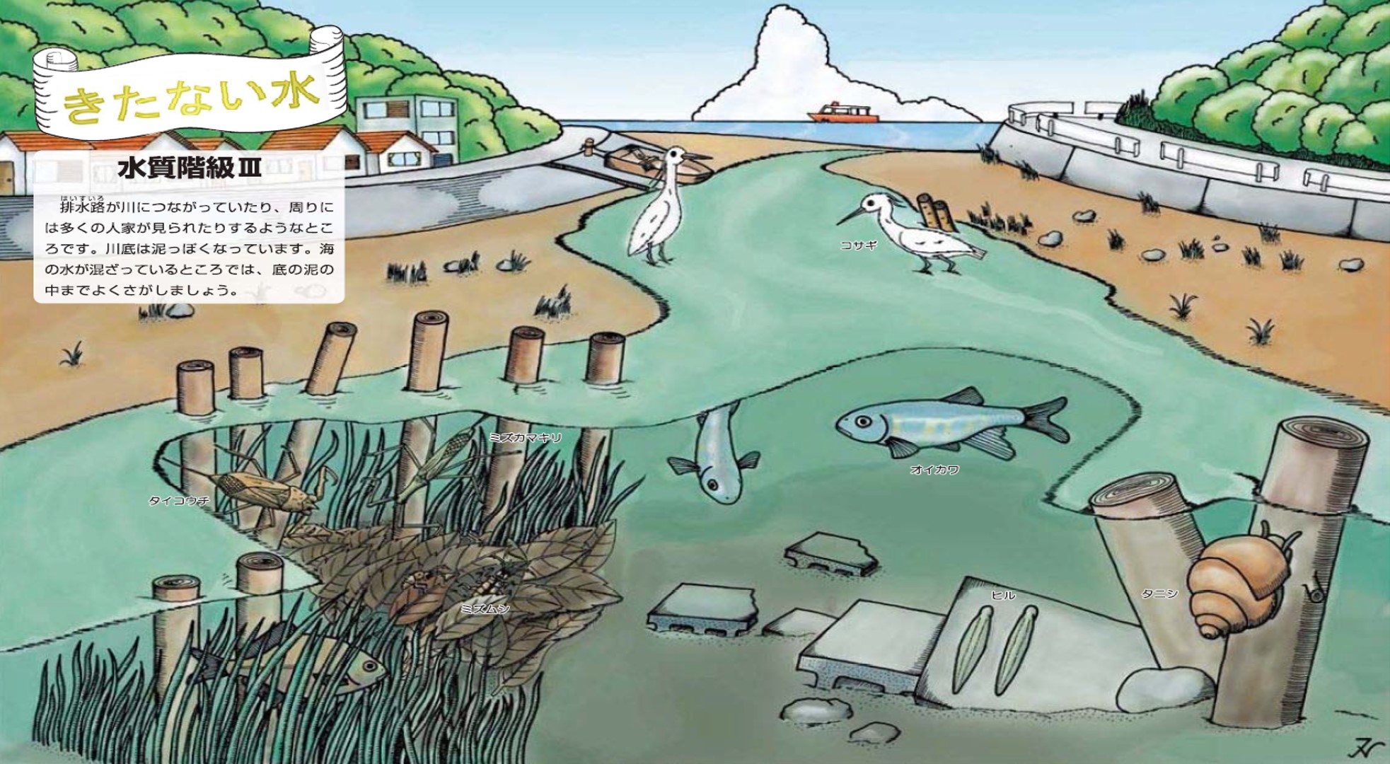 この川にこんな『いのち』が 能登の河川の水生生物 - 生物学
