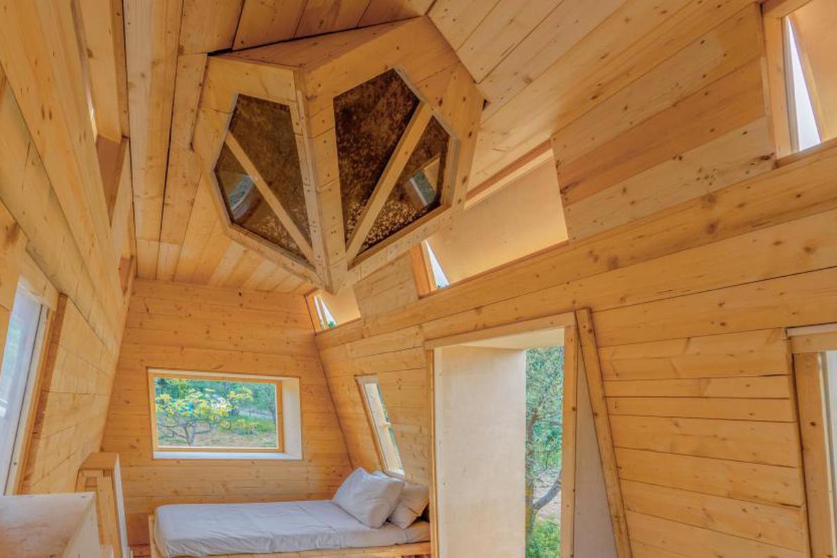 PeriodicoHoy's tweet photo. #CuriosoMundoHOY Renta habitación vía Airbnb con una colmena con más de un millón de abejas https://t.co/Wh2Uo6sdCv 

#Airbnb #Habitación #Renta #Colmena #Abejas #PeriódicoHOY #ElHOY #HOYDigital #GuardianesDeLaVerdad https://t.co/cQwZiKOX2O