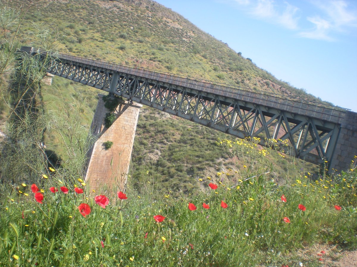 viasverdes_ffe tweet picture