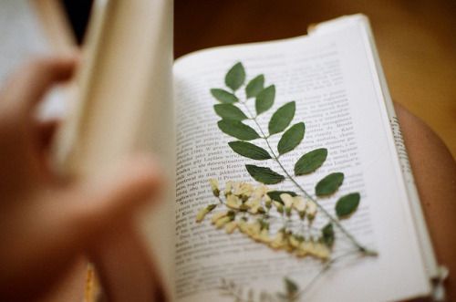 Allah.!
İnciten diller ile değil,
Seven kalpler ile birliktedir...