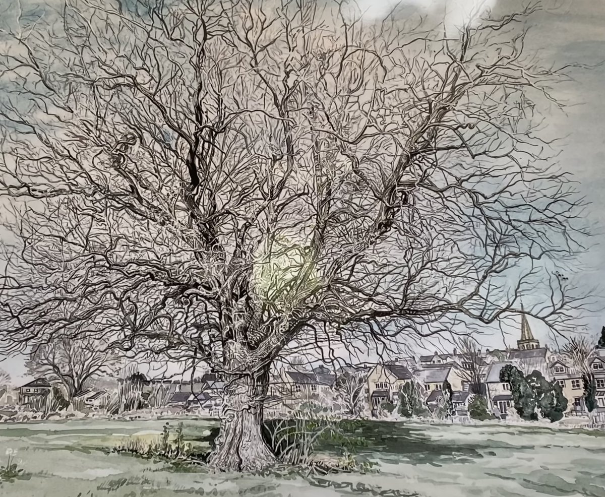 TreasuringTrees's tweet photo. Last days of the show ends 8th June 
Tues-Wednesdays &amp; this Saturday 10-5 &amp; 
BH thurs-Fri &amp; Sun 12-4  
Lovely reviews heard @DerbyshireOArts inc ‘favourite was the coherent layout &amp; loose work of the cabinets’ ‘Learnt lots’ ‘Joy of spotting local trees’ Please leave comments 🙏 https://t.co/F41OauB5ry