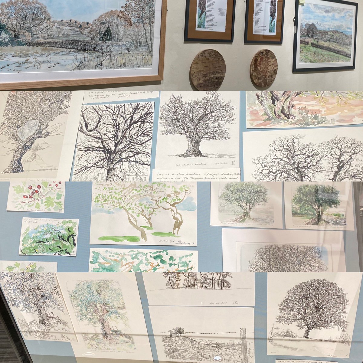 TreasuringTrees's tweet photo. Last days of the show ends 8th June 
Tues-Wednesdays &amp; this Saturday 10-5 &amp; 
BH thurs-Fri &amp; Sun 12-4  
Lovely reviews heard @DerbyshireOArts inc ‘favourite was the coherent layout &amp; loose work of the cabinets’ ‘Learnt lots’ ‘Joy of spotting local trees’ Please leave comments 🙏 https://t.co/F41OauB5ry