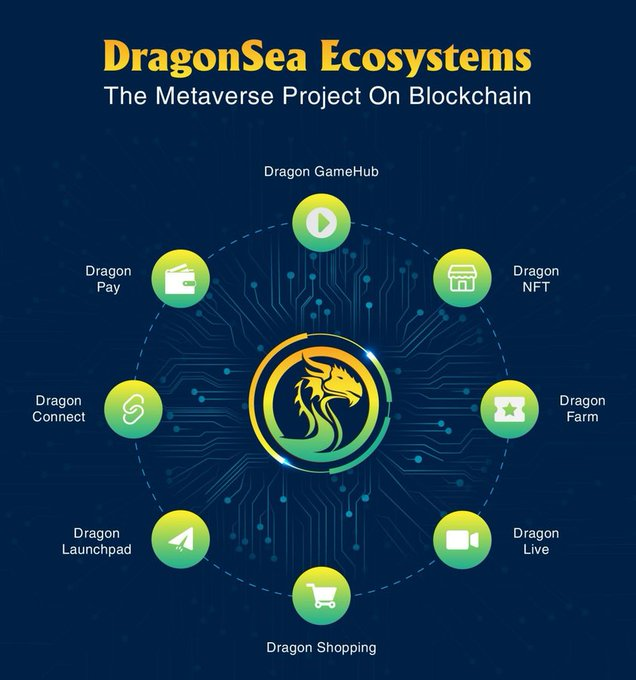 DragonSea 🐉🌊 tweet media