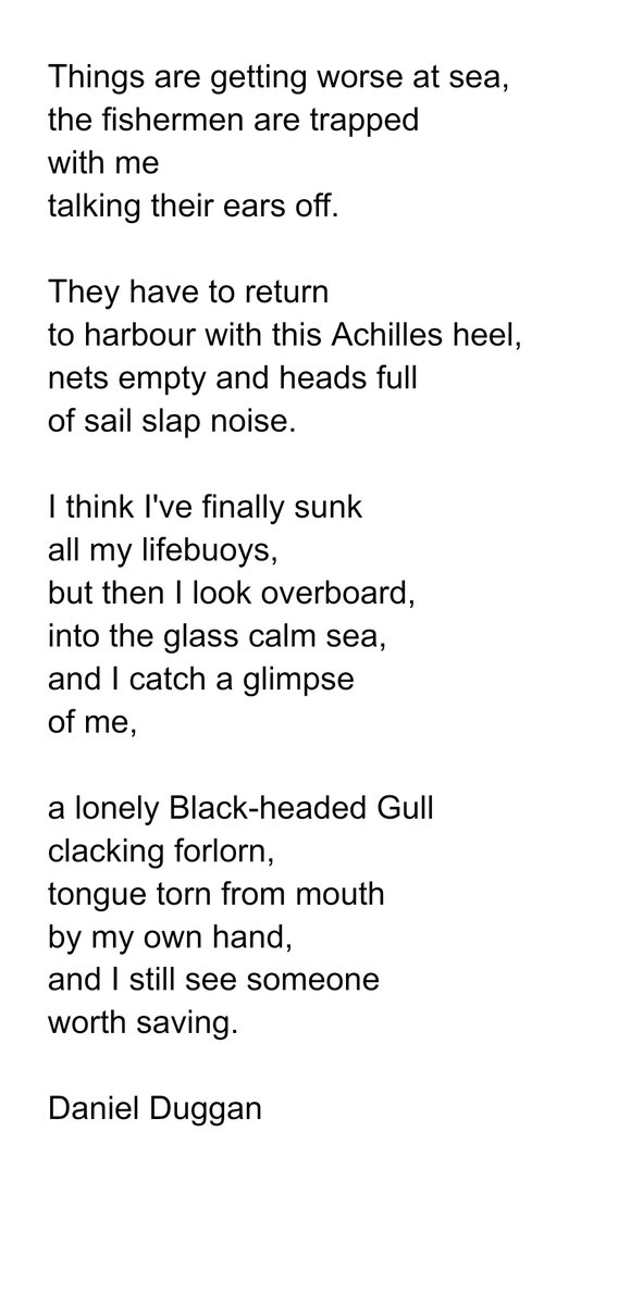 Daniel Duggan tweet media