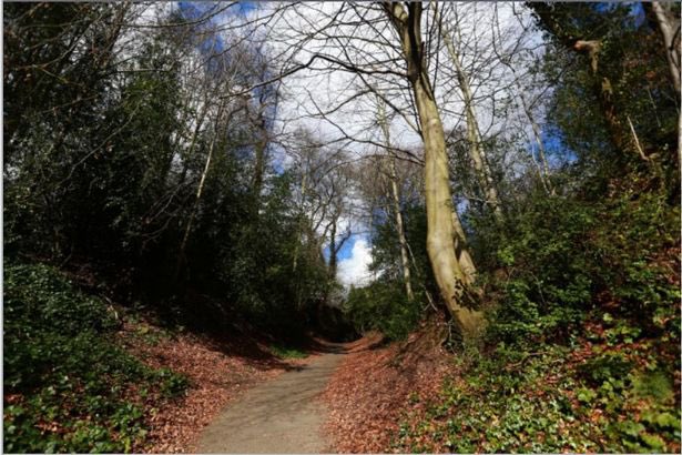 helendalby's tweet image. Good luck to beautiful Durham as the winner of #CityofCulture2025 is revealed later on tonight #Durham2025 🤞🏻🤞🏻🤞🏻