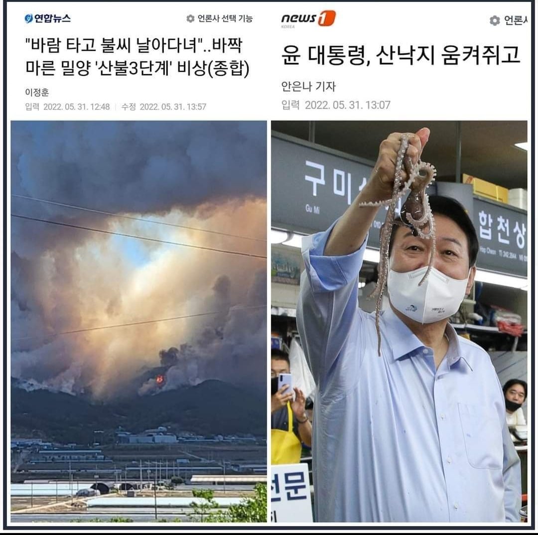 원하던 정권교체해서 행복 하십니까?