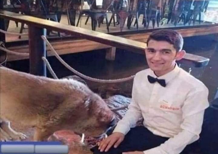 lokantanın önüne gelen kedi ve köpekleri kovmak yerine, müşterilerden kalan yemekleri "çöpe" atmayıp sokak sakinlerine yediren bu arkadaşa helal olsun. herkese örnek olmalı.