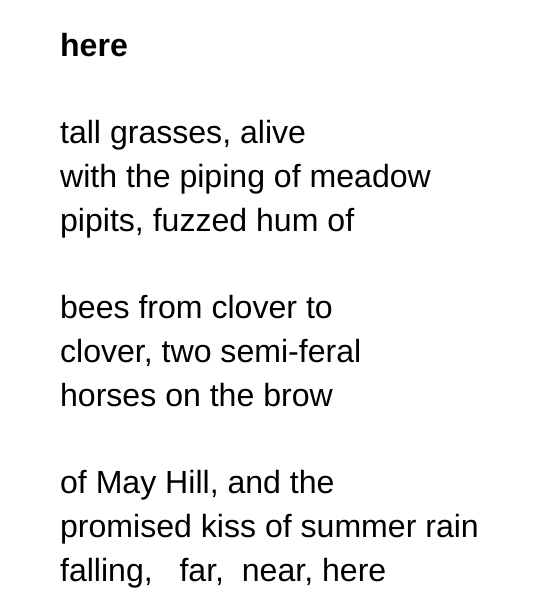 Ivor Daniel tweet media