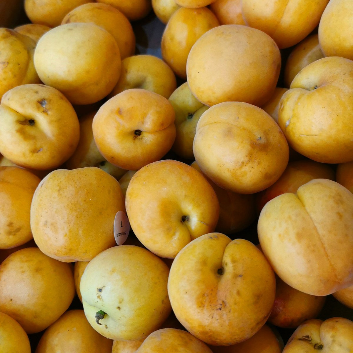 grattansfamily's tweet photo. Apricots back in stock for this year. #summerfruits https://t.co/jOS4pIMdZ2