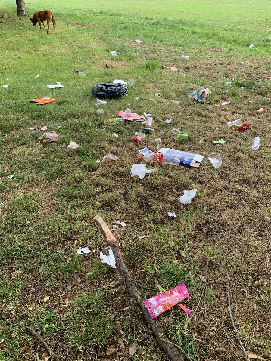 madquin's tweet photo. @CroydonCouncil so disappointing to see rubbish all over Ashburton Park…. https://t.co/7FzQrF5d2V