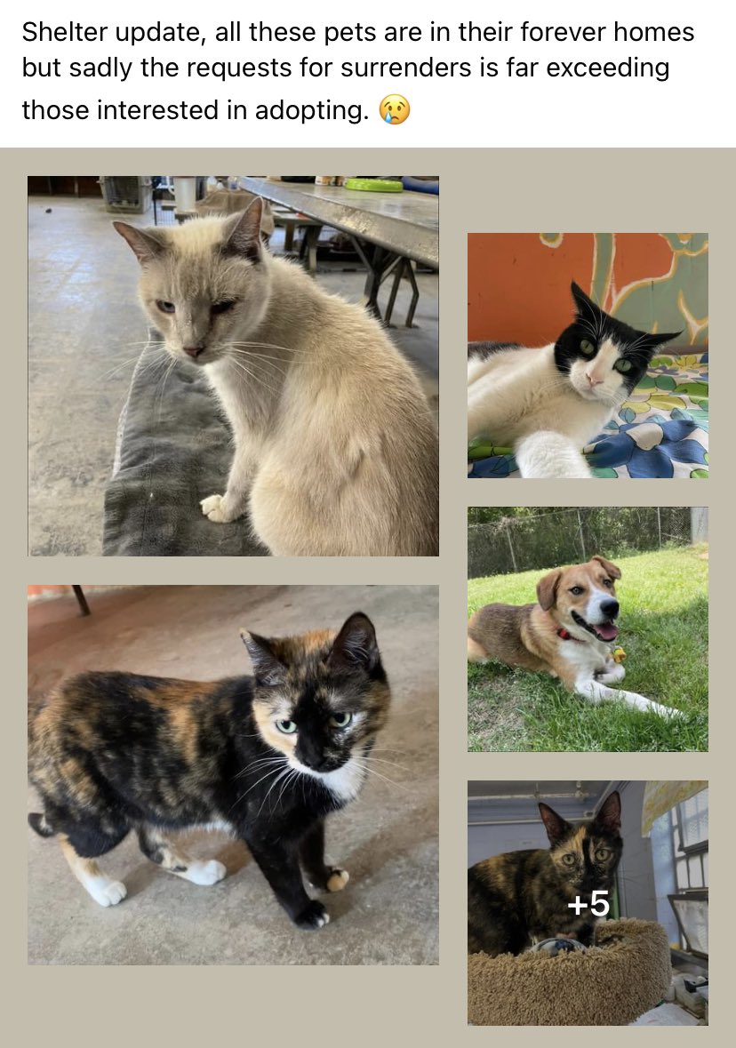 CSRA Humane Society (@csra_humane) / Twitter CSRA Humane Society (@csra_humane) / Twitter