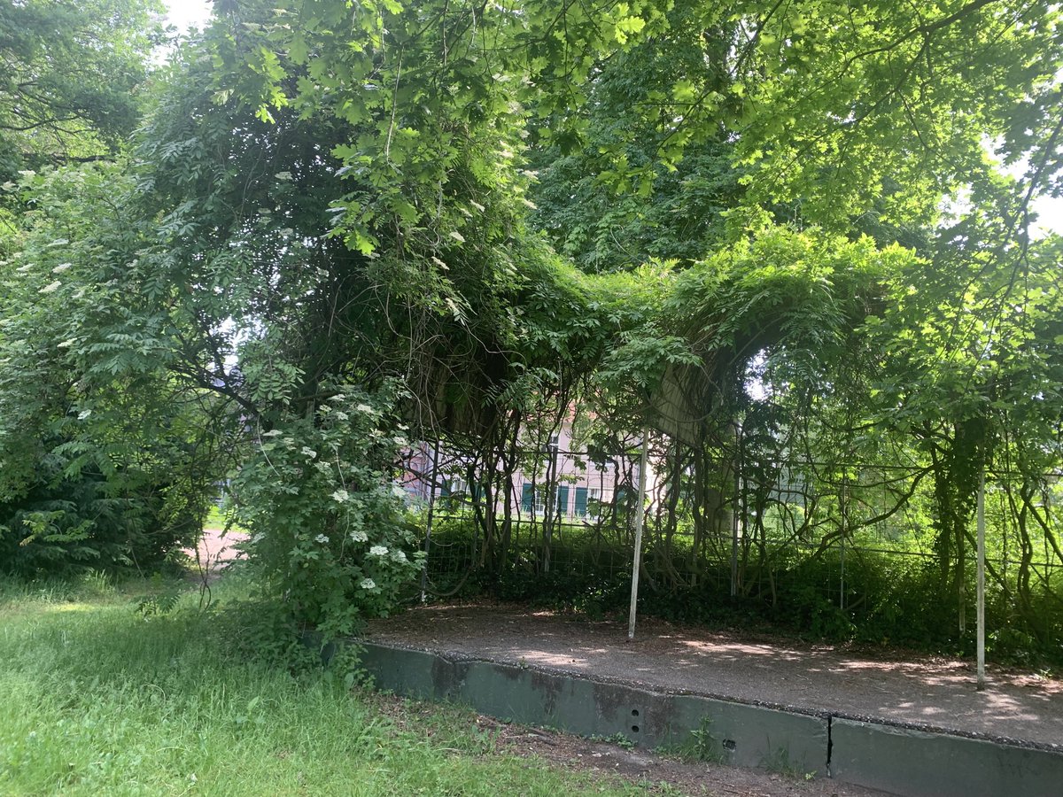 Malefic04206270's tweet photo. Vergane glorie is soms het mooist. 🌳🌳#landvanooit #nieuwkuijk #landgoedsteenenburg https://t.co/DzgXf4VUVp