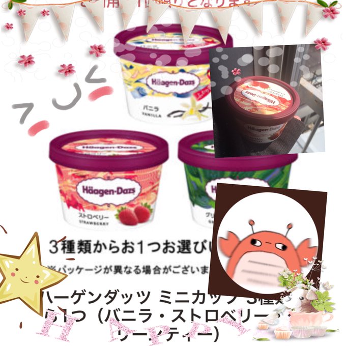 みかんちゃん Www Chez L Habitant Com