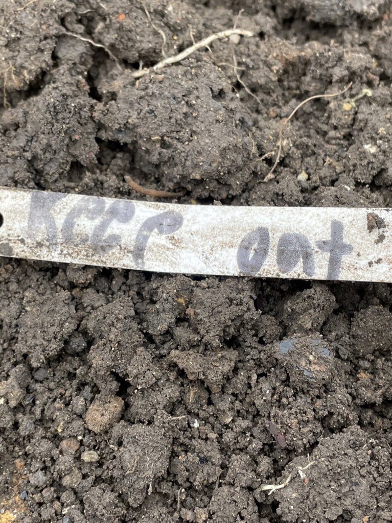 heritageadvUK's tweet photo. The site is winding down as we reach the final stages of Scarborough Big Dig 2! But, we are still being treated to some wonderful and unexpected finds… @bigideassea @SAHS_org #archaeology #scarborough #community #engagement #outreach #learning #local #fun #joke https://t.co/dBgJOZ6q80