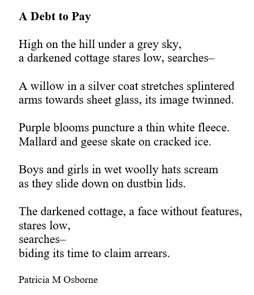 Patricia M Osborne tweet media