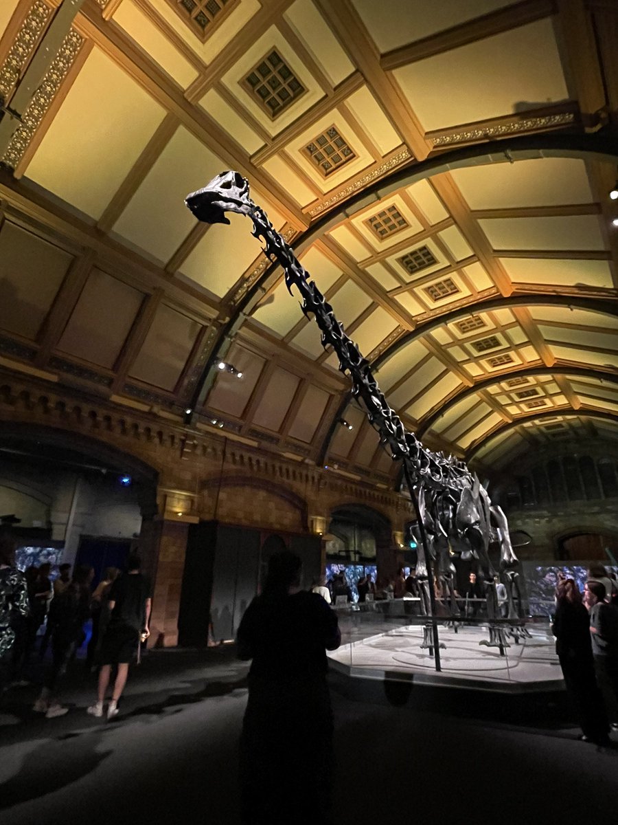 flygirlNHM's tweet photo. Oh hello stranger - #DippyReturns to the @NHM_London https://t.co/L8r0YmKi5n