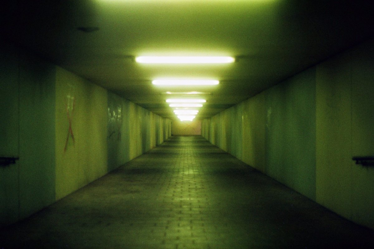 MoritzAlbert_'s tweet photo. 🎞️#35mm #gold200 https://t.co/5QVl68Avve