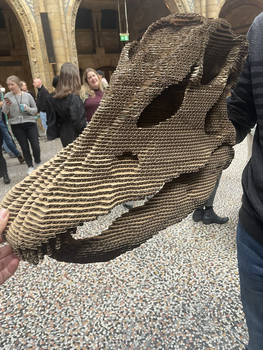 Check out this rather cool head of #Dippy 🦕 - made from cardboard, it apparently took days to glue together!! @NHM_IAC @NHM_London @NHMdinolab